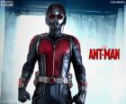 Ant-Man является главный герой фильма. Костюм превращает его в человек-муравей